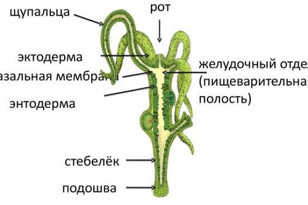 Что с кракеном сегодня сайт