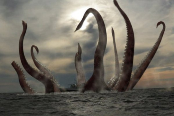 Kraken onion зеркала 2024