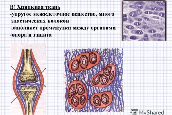 Что можно купить в кракене